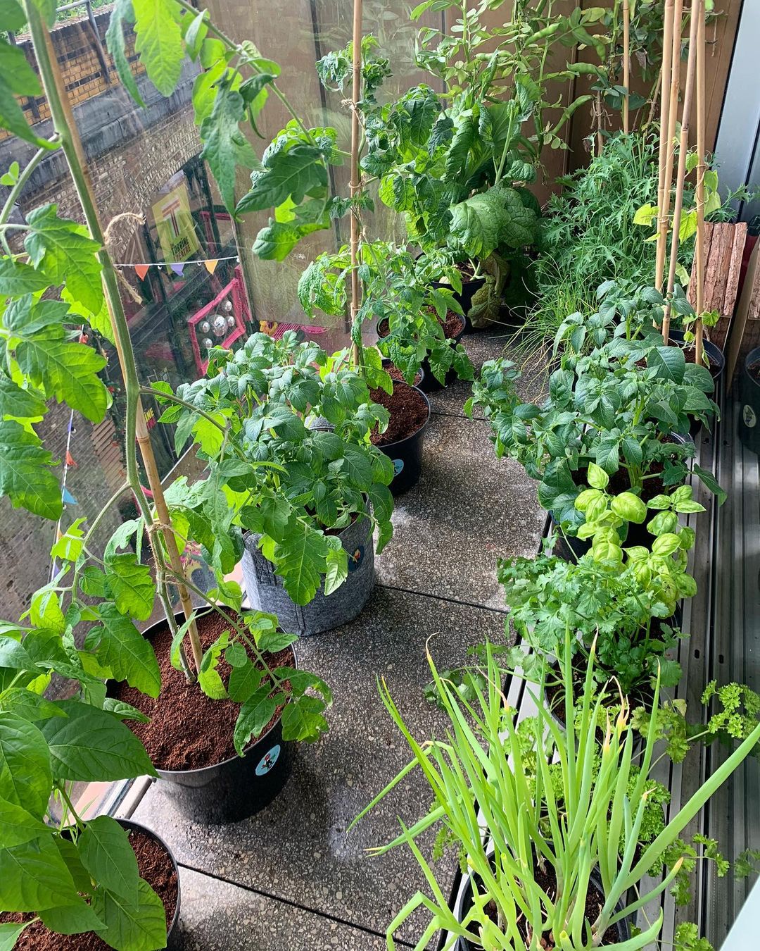 Extra Pots ~ "3 SIZES" - Image 3