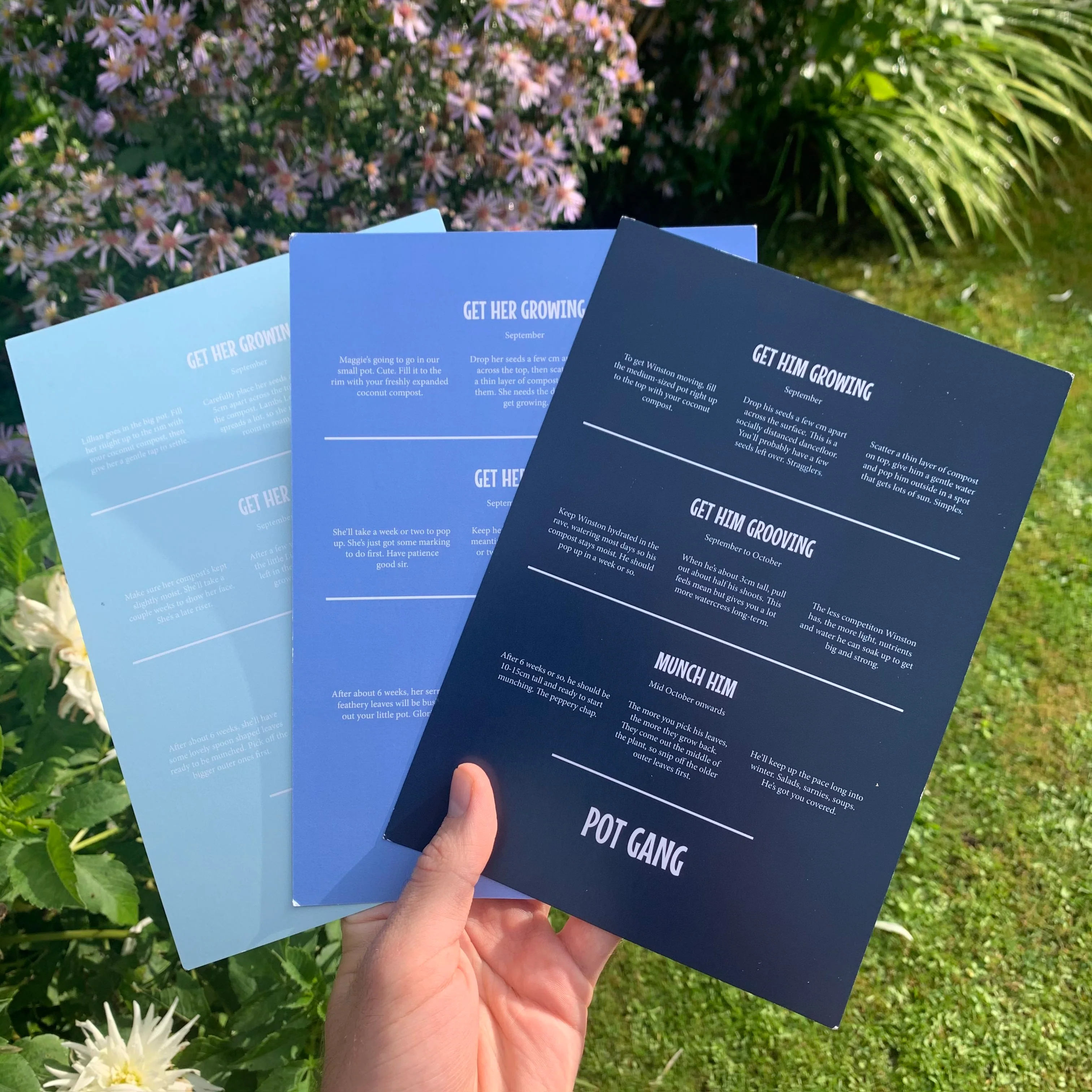 GIFT CARD 🎁 - Image 6
