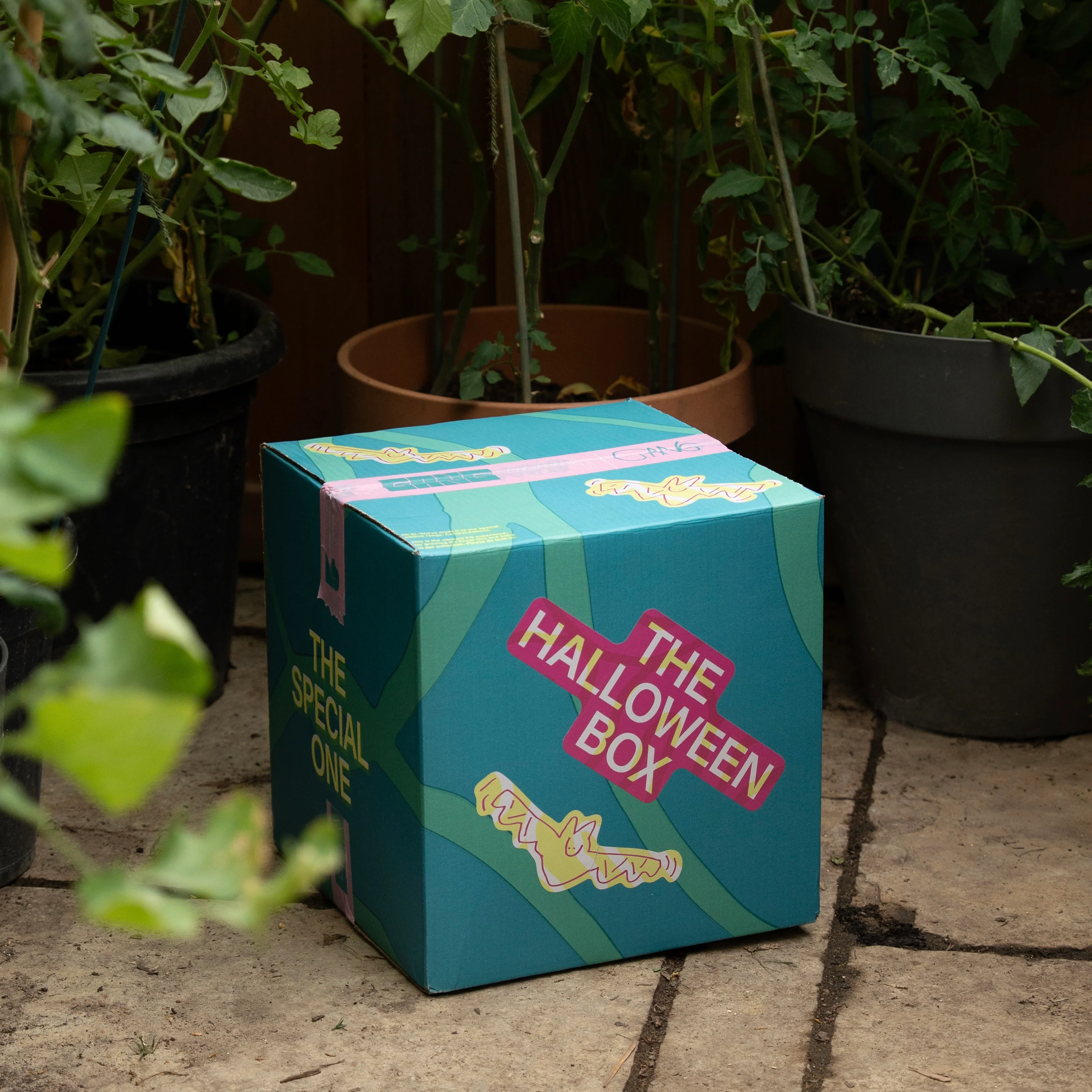 Special Edition: The Halloween Box - Image 5